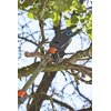 Nożyce do gałęzi i krzewów GARDENA StarCut 410 plus 12001-20 Liczba akumulatorów 0