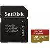 Karta pamięci SANDISK microSDXC Extreme A2 256GB + Adapter Klasa prędkości A2