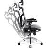 Fotel DIABLO CHAIRS V-Basic Czarno-szary Wysokość siedziska [cm] 48.5 - 58.5