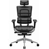Fotel DIABLO CHAIRS V-Master Czarny Materiał obicia Siatka mesh