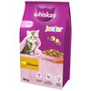 Karma dla kota Whiskas Junior Kurczak 14 kg