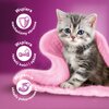 Karma dla kota WHISKAS Junior Kurczak 14 kg Rasa Wszystkie