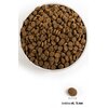 Karma dla psa ACANA Ranchlands Dog 11.4 kg Opakowanie Torebka