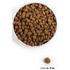 Karma dla psa ORIJEN Puppy Large Kurczak z indykiem i rybami 11,4 kg Smak Kurczak z indykiem i rybami