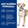 Karma dla psa HILL'S Prescription Diet Kaczka z ryżem 12 kg Typ Sucha