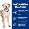 Karma dla psa HILL'S Prescription Diet Kaczka z ryżem 12 kg Smak Kaczka z ryżem