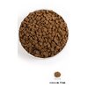 Karma dla psa ACANA Puppy 11.4 kg Smak Kurczak