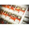 Gra planszowa PORTAL GAMES Zombicide: Czarna Plaga Wiek 14+