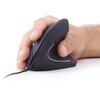 Mysz GEMBIRD MUS-ERGO-01 Interfejs USB