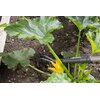 Kultywator ręczny GARDENA NatureLine 17108-20 9 x 140 cm Szerokość [cm] 9