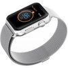 Pasek TECH-PROTECT MilaneseBand do Apple Watch 4/5/6/7/8/9/SE/Ultra (42/44/45/49mm) Srebrny Kolor Srebrny