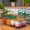Organizer do lodówki ROTHO Loft 3.1 L Rodzaj Organizer