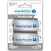 Akumulatorki D 5500 mAh EVERACTIVE (2 szt)