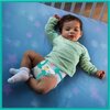 Pieluchy PAMPERS Active Baby Mega Pack 5 Junior (110 szt.) Rodzaj Pieluchy
