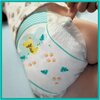 Pieluchy PAMPERS Active Baby Mega Pack 5 Junior (110 szt.) Seria Active Baby