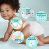 Pieluchy PAMPERS Premium Care Midi 3 (120 szt.) Waga dziecka [kg] 6 - 10