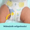 Pieluchy PAMPERS Premium Care Midi 3 (120 szt.) Seria Premium Care