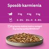 Karma dla kota WHISKAS Drobiowe Smaki (40 x 85 g) Smak Drób