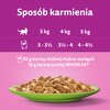 Karma dla kota WHISKAS Mix Smaków (40 x 85 g) Smak Kurczak