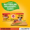 Karma dla psa PEDIGREE Aldut Mix smaków w galaretce (40 x 100 g) Cechy Poprawia trawienie