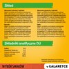 Karma dla psa PEDIGREE Adult Mix smaków w galaretce (40 x 100 g) Smak wiodący Wołowina