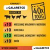 Karma dla psa PEDIGREE Aldut Mix smaków w galaretce (40 x 100 g) Opakowanie Saszetka