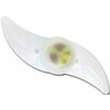 Lampka rowerowa ESPERANZA Asterion EOT006