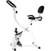 Rower magnetyczny BH FITNESS Back Fit YF91