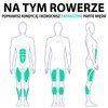 Rower magnetyczny HAMMER Comfort Motion BT Przeznaczony Do intensywnego treningu