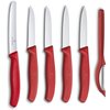 Zestaw noży VICTORINOX Swiss Classic 6.7111.6G Czerwony (6 elementów)