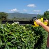 Nożyce do żywopłotu KARCHER HGE 18-50 Battery Set 1.444-241.0 500mm 18V akumulatorowe Ostrze Faliste