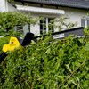 Nożyce do żywopłotu KARCHER PHG 18-45 Battery 1.444-210.0 450mm 18V akumulatorowe Przeznaczenie Do żywopłotu