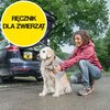 Myjka ciśnieniowa terenowa KARCHER OC 3 + zestaw Pet 1.680-018.0 Wyposażenie Akumulator litowo-jonowy