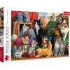 Puzzle TREFL Kocie spotkanie 10555 (1000 elementów) Seria Premium Quality