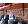 Lampa owadobójcza NOVEEN IKN823 Załączona dokumentacja Instrukcja obsługi w języku polskim