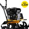 Glebogryzarka spalinowa TEXAS Lilli 534B CR950 z napędem 4.2kW Szerokość robocza [cm] 85