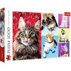 Puzzle TREFL Premium Quality: Wesołe koty 10591 (1000 elementów)