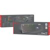 Klawiatura GENESIS THOR 420 RGB Układ klawiszy Standardowy