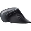Mysz TRUST Verro Ergonomic Interfejs 2.4 GHz