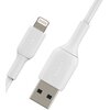 Kabel USB - Lightning BELKIN 2 m Typ USB - Lightning