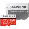Karta pamięci SAMSUNG microSDXC Evo Plus 256GB