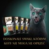 Karma dla kota SHEBA Delicacy in Jelly Smaki Drobiowe 12 x 85 g Rasa Wszystkie