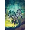 Na ilustracji znajduje się zebra w lesie, której ciało jest częściowo przezroczyste, ukazując motyla i klucz w środku. Tło przedstawia bujną roślinność i strumień, a całość utrzymana jest w zielono-niebieskiej kolorystyce.