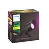 Reflektor zewnętrzny PHILIPS HUE Lily XL Czujnik Nie