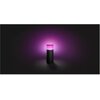 Lampa zewnętrzna PHILIPS HUE Calla 915005630301 Głębokość [mm] 104