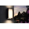 Kinkiet zewnętrzny PHILIPS HUE Turaco 915003761403 Rodzaj zabudowy Na elewacji