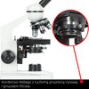 Mikroskop DELTA OPTICAL BioStage II Rodzaj Mikroskop szkolny