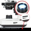 Mikroskop DELTA OPTICAL BioStage II Długość [mm] 160