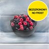 Lodówka SAMSUNG RB38T675DS9 No Frost 203cm Srebrna All-Around Cooling,  Humidity Fresh+ Położenie zamrażarki Na dole