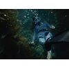 Uchwyt GOPRO The Handler AFHGM-003 do HERO 9/10/11 Black Dedykowany model GoPro Hero 9 Black